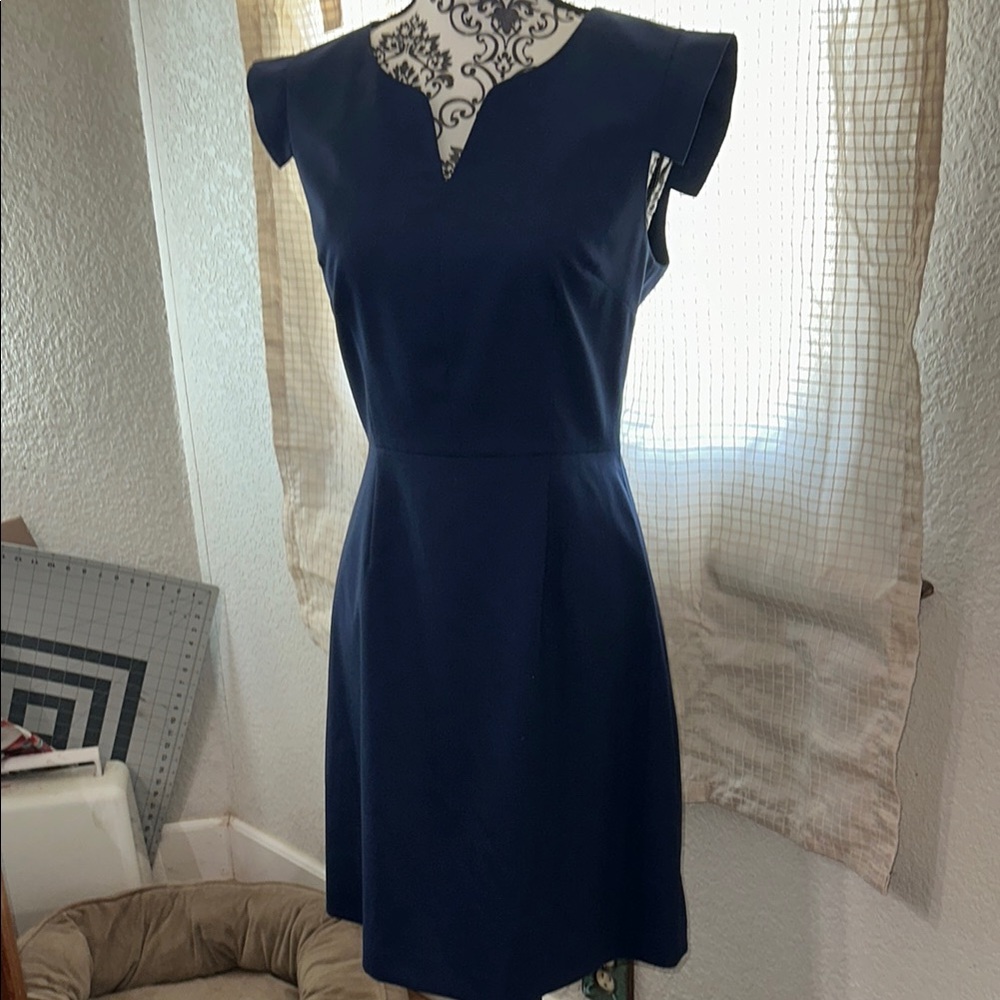 41 Hawthorn Sheath Dress Sz 4